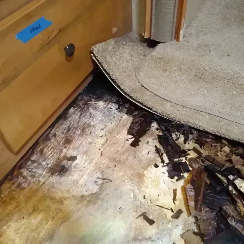 Best Wood Floor Water Damage Service in Seward, NE